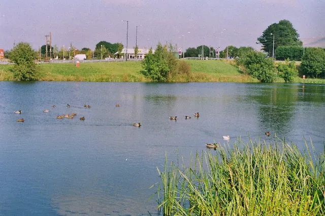 Pond nr Barrow, Whalley