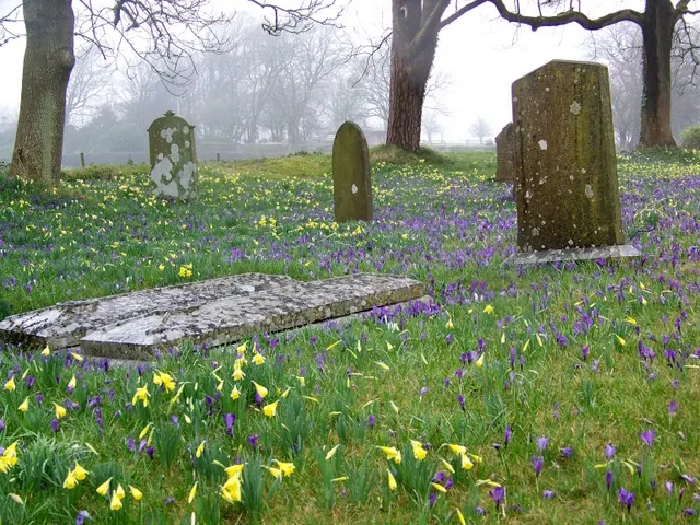 Graveyard, The Church of St Michael and the Holy Angels