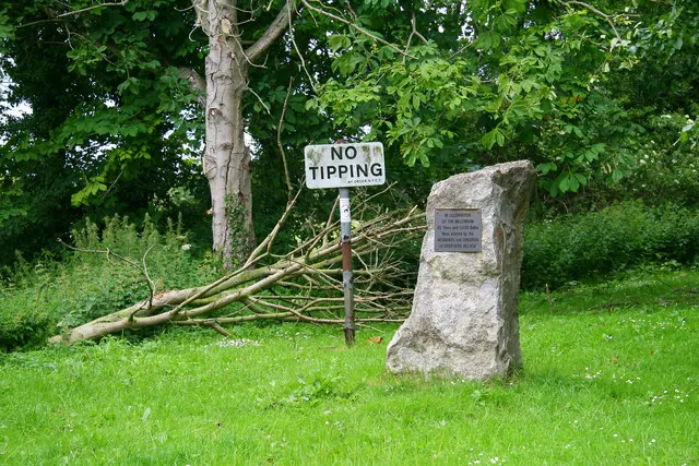 Millennium Stone