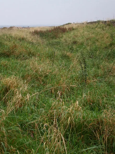 Ancient Boundary Ditch