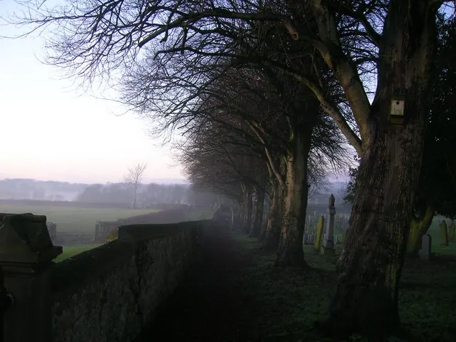 Edge of the Churchyard