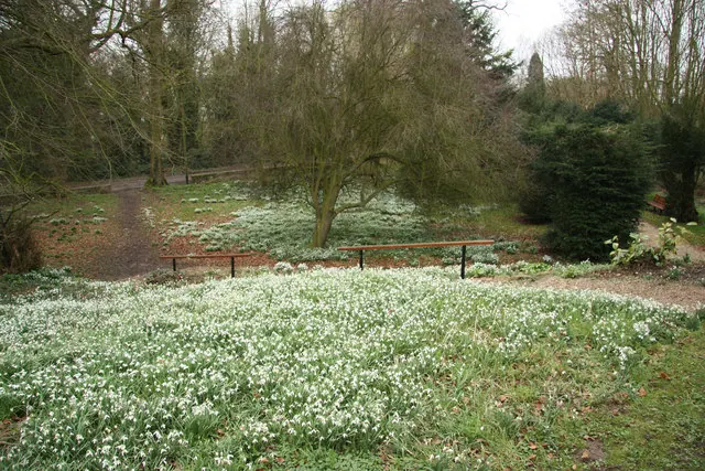 All Saints' churchyard
