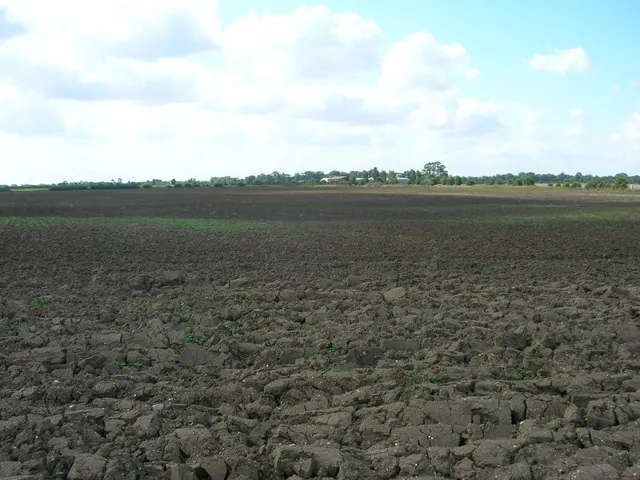 Farmland near Abbey Farm
