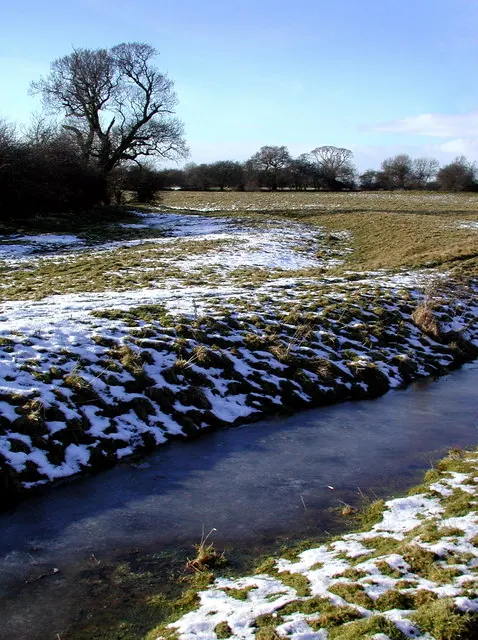Meaux Abbey Earthworks