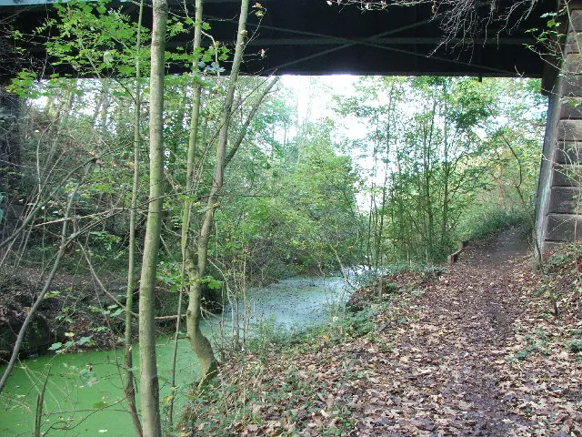 Barnsley Canal beneath High Bridge at Notton.