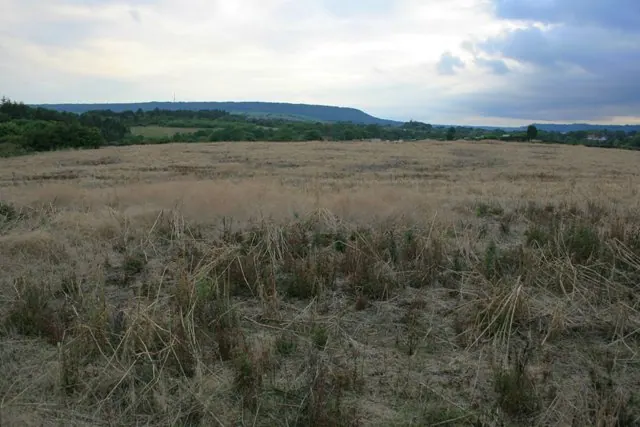 Set Aside Field, Near Scalby Manor