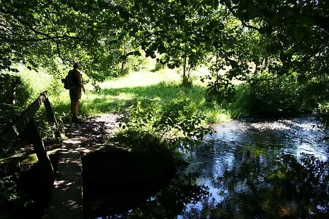 Crossing Shirley Brook