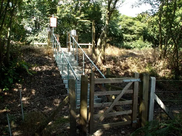 Steps at the railway pedestrian crossing from Hall Royd
