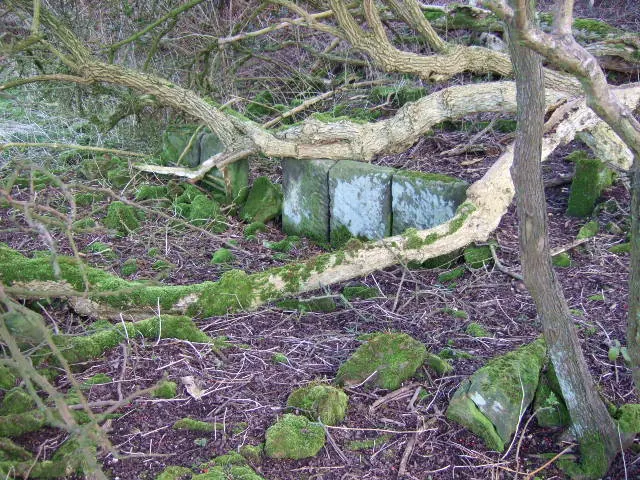 Cattle shed remains