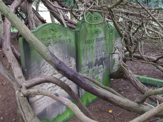 Gravestones in Doveridge churchyard