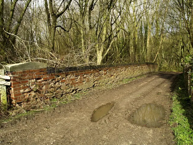 Farm Track Bridge over the old Hull and Barnsley Railway
