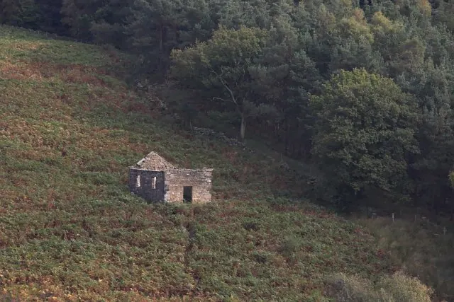 Ruin in Blow Gill near Anyas wood