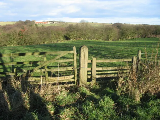 Towards White Hall Farm