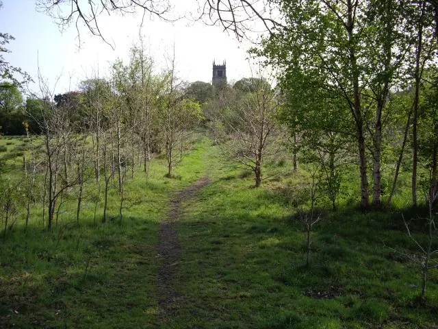 Wybunbury Church Tower from Edge of the Moss