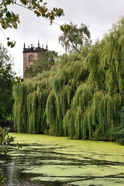 St. Modwen's Church from the Andresey Bridge