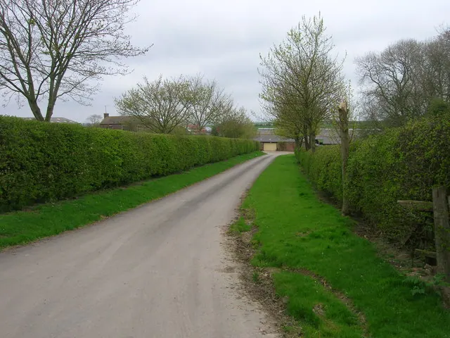 Farm Track, Octon Manor