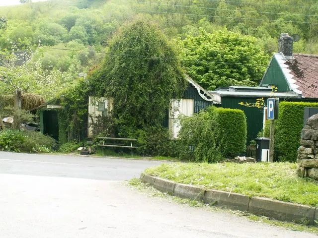 Miller's bridge
