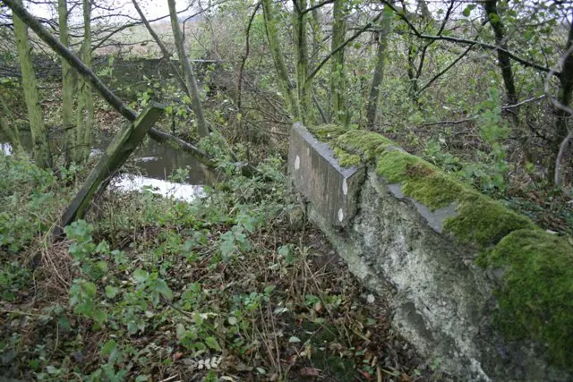 Remains of Old Dam, River Leven