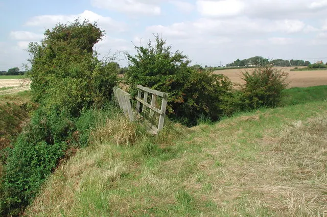 South of Thirtleby