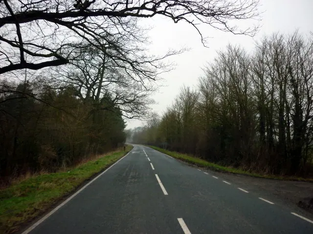 The road to Wheldrake at Thicket Priory