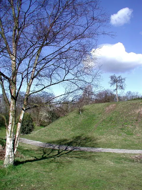 Peel Hill Castle, Thorne