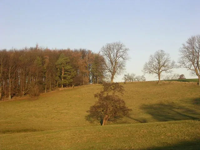 Farmland at Wycliffe Hall, near Barnard Castle