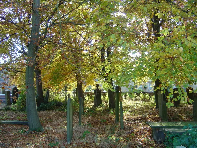 Sun dappled graveyard