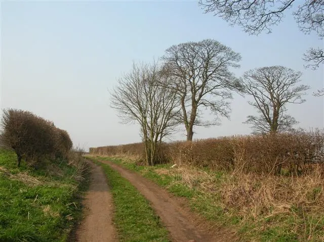 Footpath near Carrholme bridge