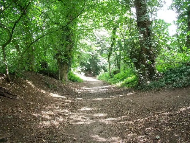 Old canal bed at Grace Dieu Priory