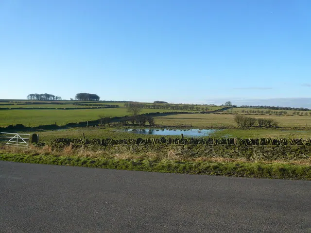 View across fields opposite Hallcliff Lane