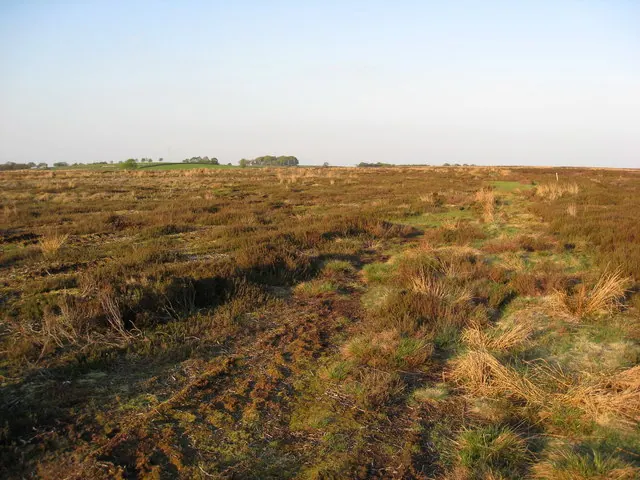 Beeley Moor - Ancient Packhorse Route and Concessionary Footpath View