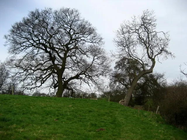 Minster Way near Scoreby Manor House