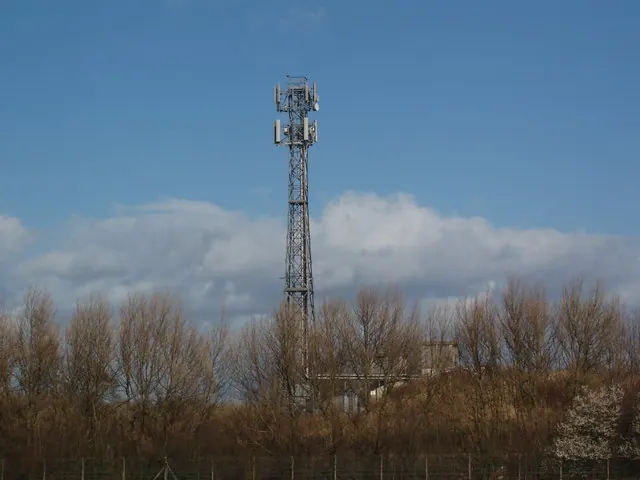 Telecommunications Tower, Blue Bridge Whin