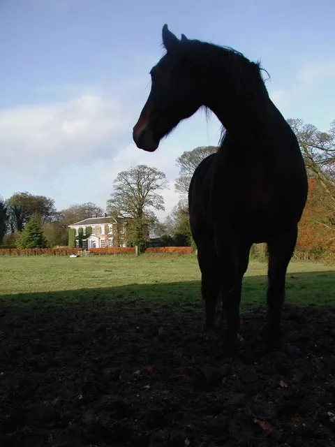 Wauldby Manor Farm, Welton