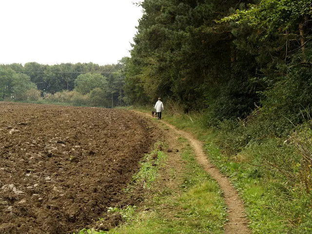 A footpath near Wauldby Manor Farm