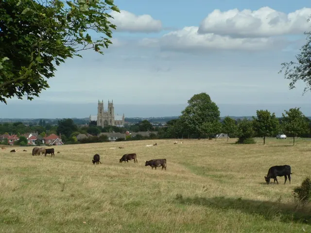 Beverley Minster from the Westwood