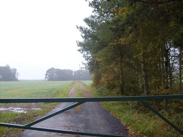 Track to Thicket Priory