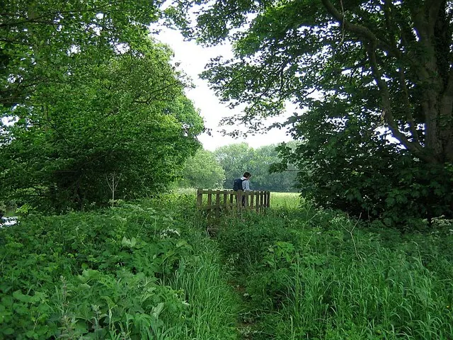 Footbridge crossing a ditch flowing into the Rye