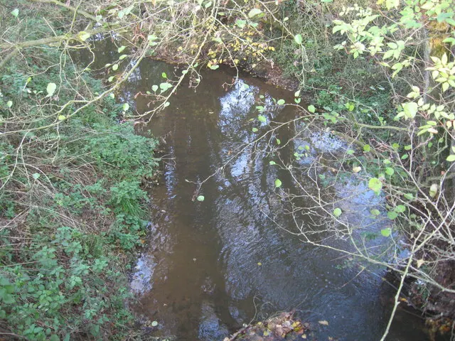 The Wettenhall Brook downstream from Brookside Bridge