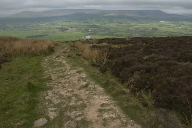 Track across Thornley Hall Fell