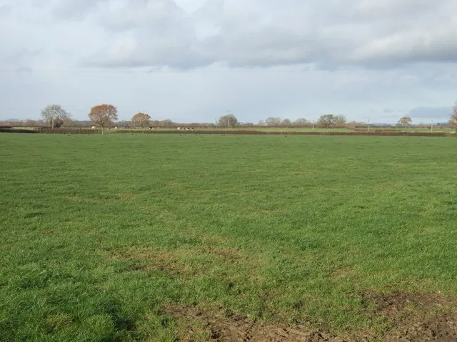 Farmland, Abbey Moor Farm