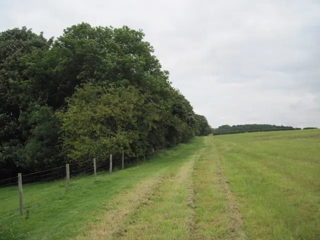 Centenary  Way  past  Abbey  Plantation
