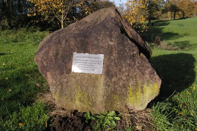 Millennium Rock at "Joey the Swan"