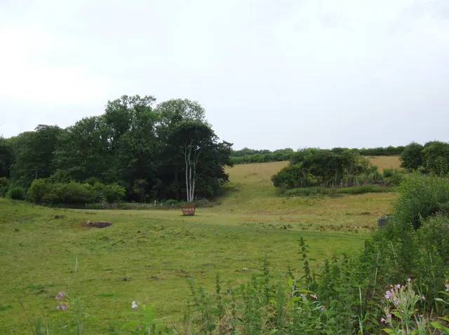 Site of Wothersome Medieval Village
